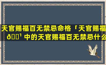 天官赐福百无禁忌命格「天官赐福 🌹 中的天官赐福百无禁忌什么意思 🐠 」